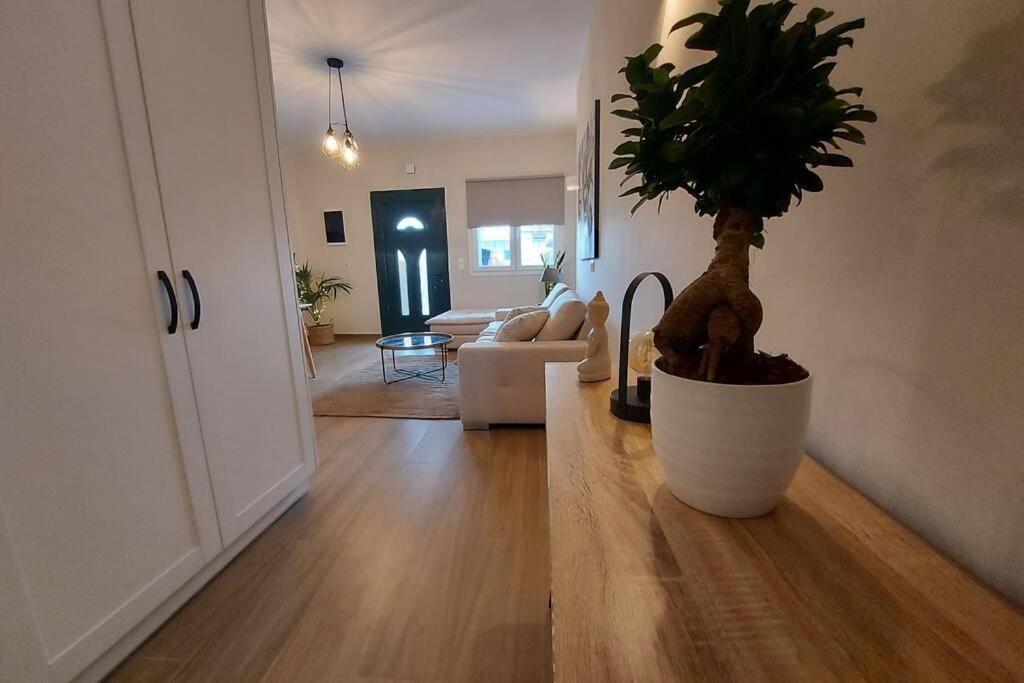 Kentia Fine Living Apartment Kanálion Eksteriør bilde